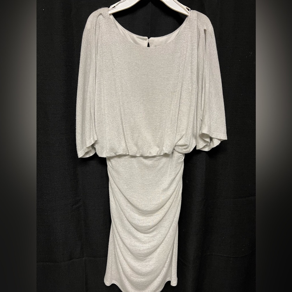 Sangria/ silver sparkle above the knee dress. Size 12